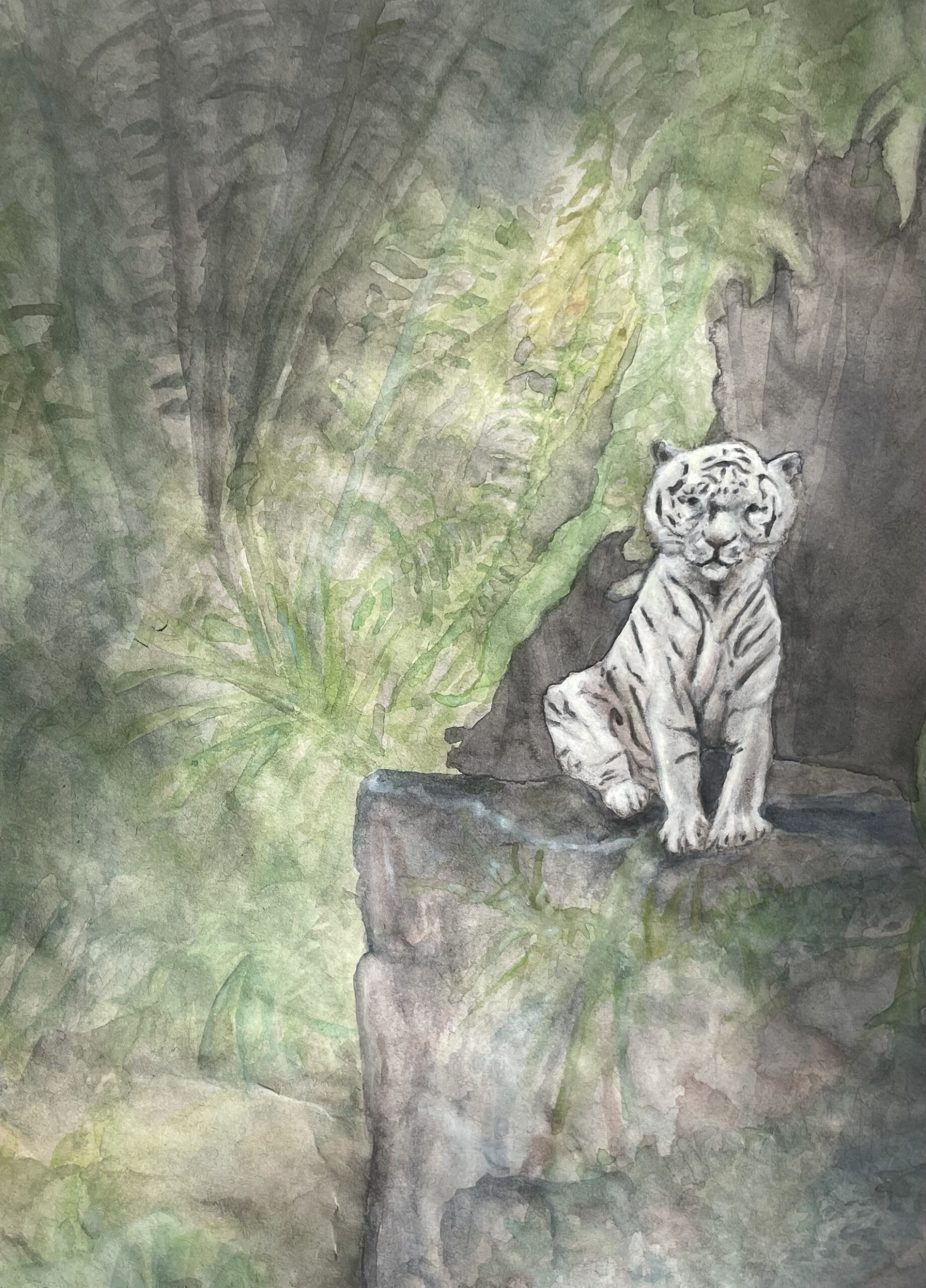tiger